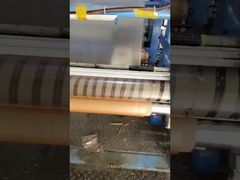 Película solúvel em água de PVA com pós antibacterianos